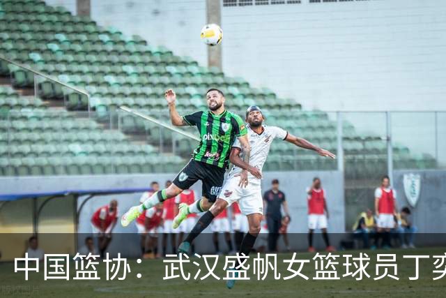 中国篮协：武汉盛帆女篮球员丁奕可停赛八场