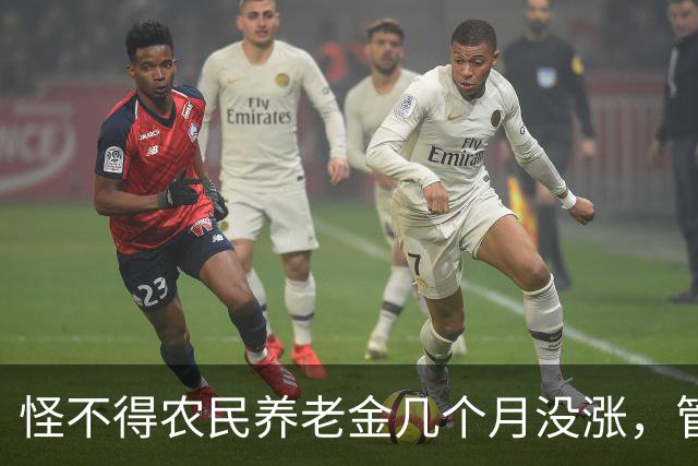 怪不得农民养老金几个月没涨，管理养老金的原副理事长被查
