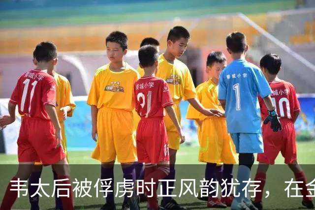 韦太后被俘虏时正风韵犹存，在金国待了15年，金国士兵怎能放过她