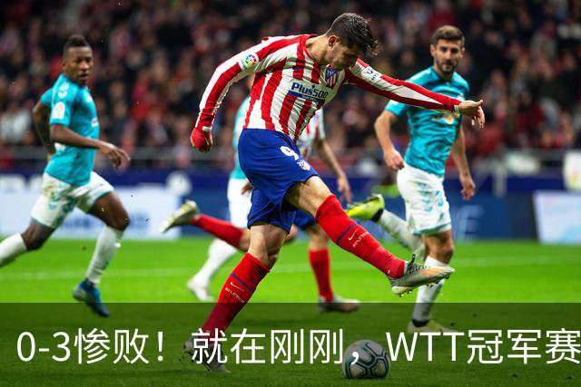 0-3惨败！就在刚刚，WTT冠军赛乱套了：张本智和光速一轮游！周启豪让二追三，蒯曼险被翻盘