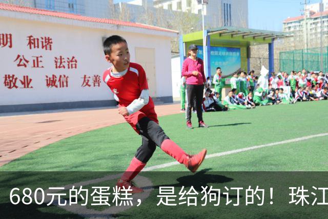 680元的蛋糕，是给狗订的！珠江新城的豪宅、满客厅的狗海报！外卖小哥：原来“宝贝”是条狗