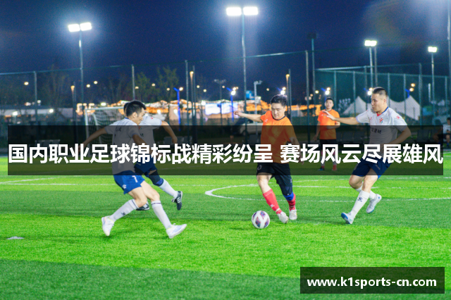 国内职业足球锦标战精彩纷呈 赛场风云尽展雄风