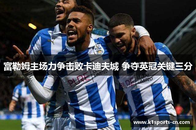富勒姆主场力争击败卡迪夫城 争夺英冠关键三分