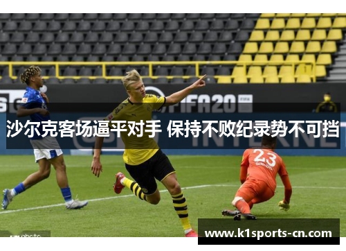 沙尔克客场逼平对手 保持不败纪录势不可挡