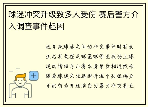 球迷冲突升级致多人受伤 赛后警方介入调查事件起因
