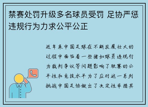 禁赛处罚升级多名球员受罚 足协严惩违规行为力求公平公正